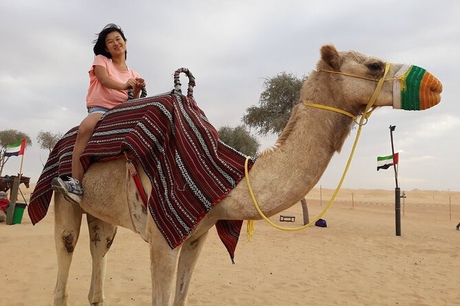 Morning Dubai desert safari - camel rides, quad bikes, dune buggies,dune bashing - Morning desert safari: why 9:00am is the smart move