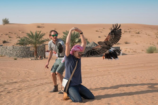 Morning Falconry & Nature Desert Safari with Transfers from Dubai - Price and value: what $166 buys you (and why it feels different)