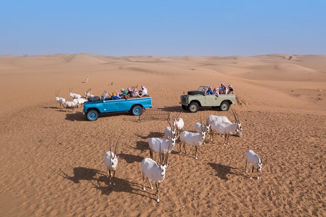 Morning Falconry & Nature Desert Safari with Transfers from Dubai - Practical tips so your morning goes smoothly