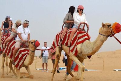 Morning / Mid-Day Desert Safari with Brunch & Dune Bashing - The drive out: 45 minutes that set the mood (and your expectations)