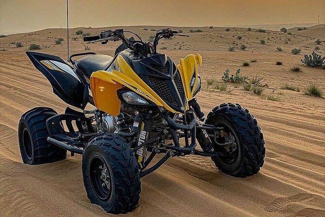 Morning Quad Biking & Red Sand Desert Safari , Camel Ride, Sand Boarding - Timing, Photos, and How to Make This Morning Safari Look Great