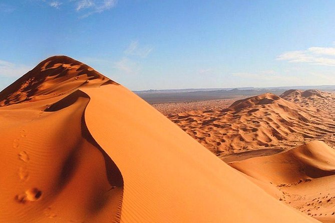 Morning Red Dunes Safari: Camel Ride & Sandboarding Adventure - Red Dunes in the morning: the best kind of half-day thrill