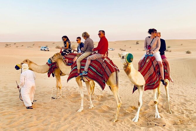 Morning Red Dunes Safari: Camel Ride & Sandboarding Adventure - Sandboarding and photo stops: sliding plus “stop and shoot” moments