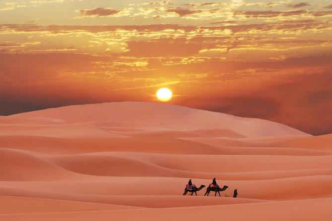 Morning Red Dunes Safari: Camel Ride & Sandboarding Adventure - Who should book this safari (and who should skip it)