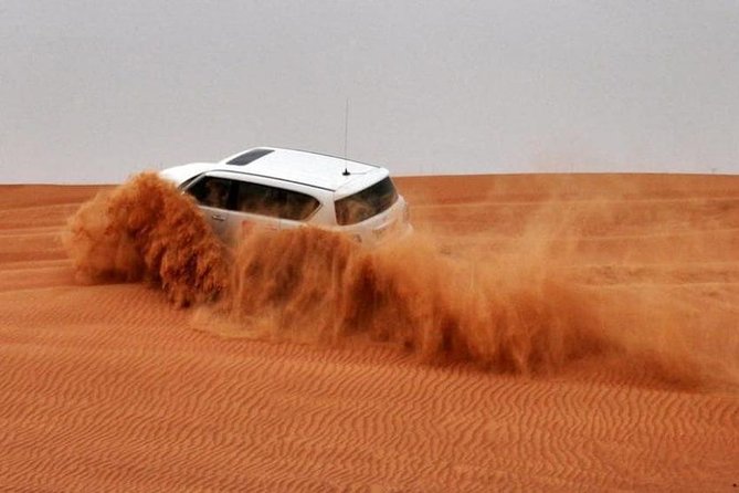 Morning Red Dunes Safari: Quad Biking, Sandboarding & Camel Ride - Who should book this morning safari (and who might rethink it)