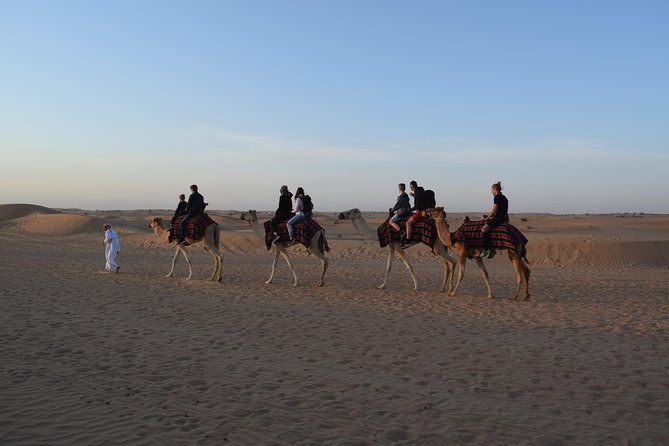 Morning Safari by 4x4 from Dubai with Sand Boarding - Sandboarding: sliding down after the bumps