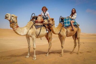 Morning Thrill: Exciting Desert Safari Adventure Camel Ride Dubai - Dune Bashing: The Wild Part, Done With a Skilled Driver
