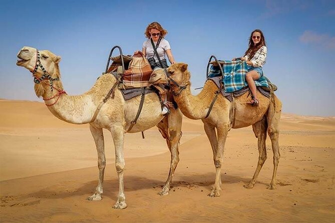 Morning Thrill: Exciting Desert Safari Adventure Camel Ride Dubai - Dune Bashing: The Wild Part, Done With a Skilled Driver