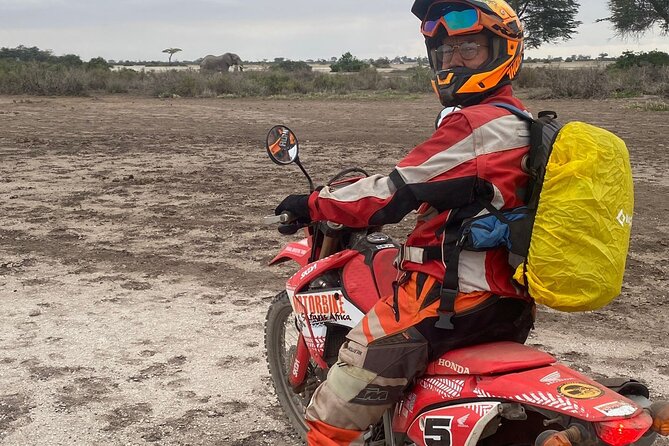 Motorcycle Safari - Wildlife sightings: riding near animals without the scary part