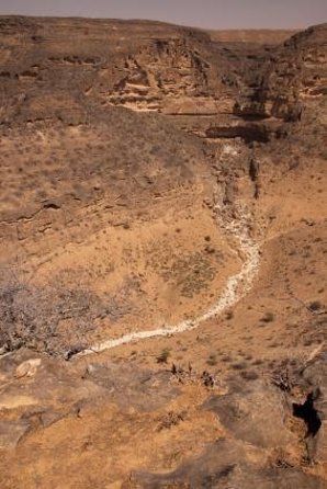 Mountain Safari Private Tour - Key highlights you’ll remember