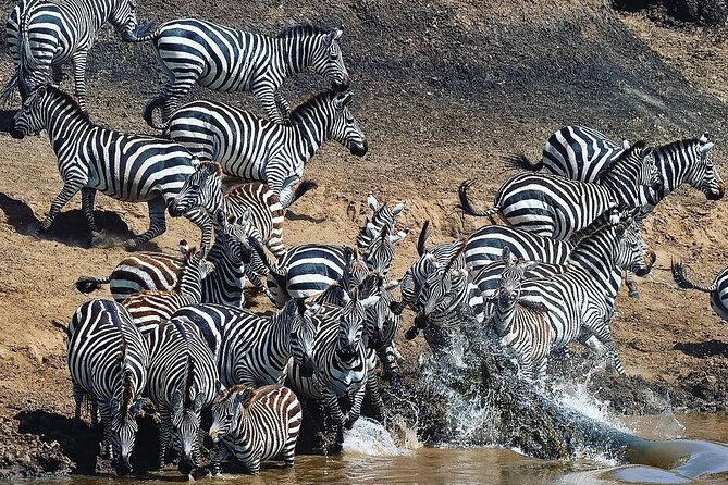 Multi-Day Camping Safari Experience in Arusha - Day 5 in Ngorongoro Conservation Area: the 600-meter descent and Lake Magadi