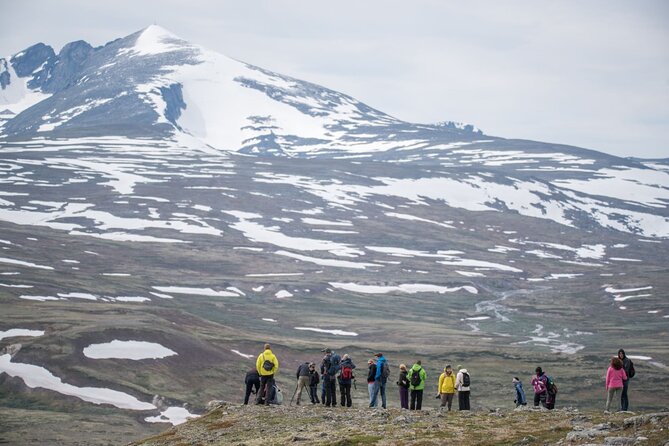 Musk ox Safari in Dovrefjell National Park, Oppdal Safari - Coffee, hot drinks, and the break that keeps morale up