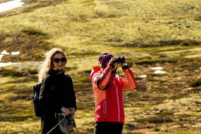 Muskox Safari from Hjerkinn | Dovre & Lesja Aktiv - What to Bring: Lunch, Water, Snacks, and Optional Binoculars