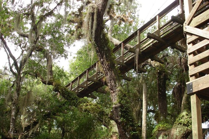 Myakka State Park E-bike Safari - Who should book this e-bike safari, and who might not love it