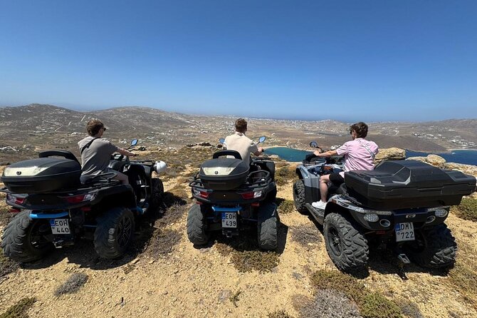 Mykonos Safari Quad Adventure Tour - Stop 3: Ftelia Beach for a Northern-Coast Change of Scene
