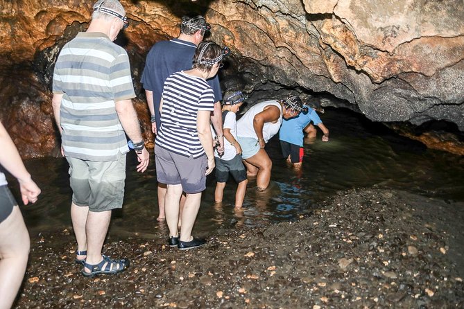 Naihehe Cave Safari in Sigatoka with BBQ Lunch - Price and Value: Is $126.53 Worth It?