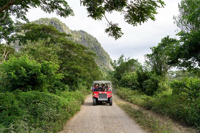 Naihehe Cave Safari in Sigatoka with BBQ Lunch - Who Should Book This Safari, and Who Should Think Twice