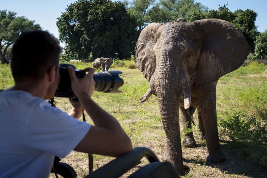 Nairobi: 4-Day Maasai Mara & Lake Nakuru Camping Safari - Key highlights to know before you go