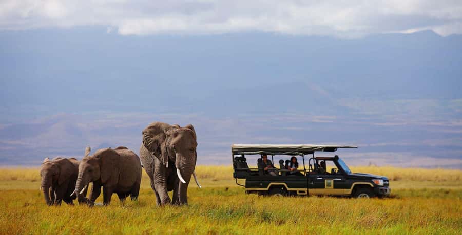 Nairobi: 4-Day Maasai Mara & Lake Nakuru Camping Safari - 4-Day Maasai Mara and Lake Nakuru Camping Safari Review