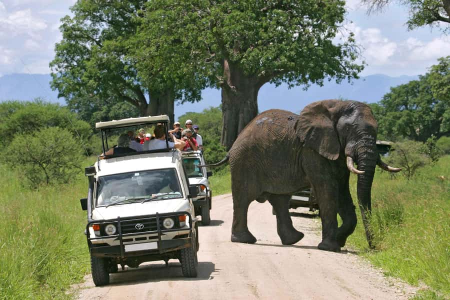 Nairobi: 4-Day Maasai Mara & Lake Nakuru Camping Safari - First Maasai Mara evening game drive: your warm-up for big cats
