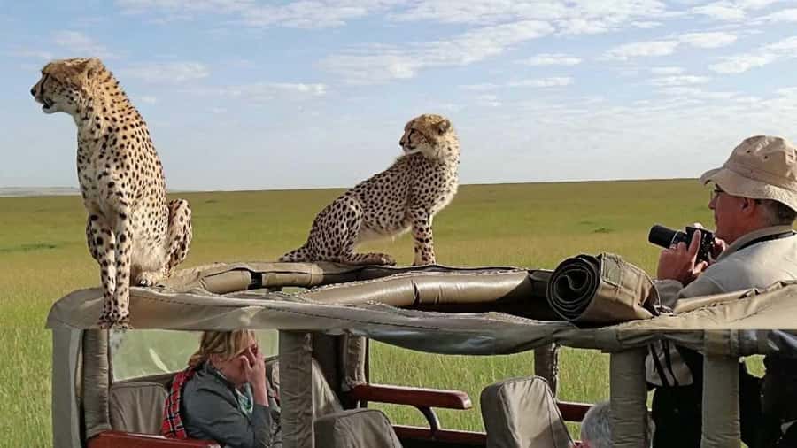 Nairobi: 4-Day Maasai Mara & Lake Nakuru Camping Safari - Day three: Rift Valley to Lake Nakuru with stops on the way