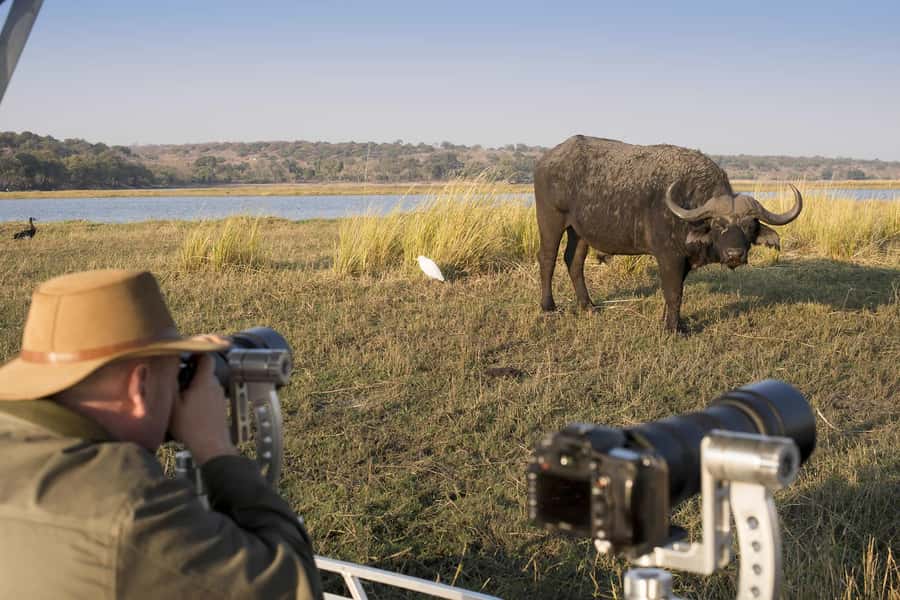Nairobi: 4-Day Maasai Mara & Lake Nakuru Camping Safari - Day four in Lake Nakuru: flamingos, 350+ bird species, and rhino conservation