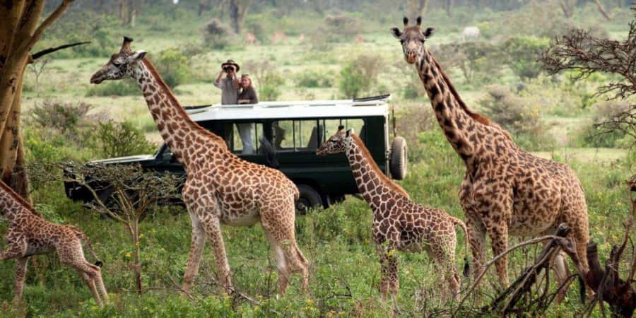 Nairobi: 4-Day Maasai Mara & Lake Nakuru Camping Safari - Camping and comfort: what the nights are really like