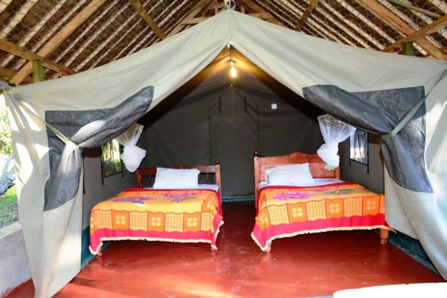 Nairobi: 4 Day Masai Mara and Lake Nakuru Camping Safari - What to bring (and what to skip) for a smoother 4 days