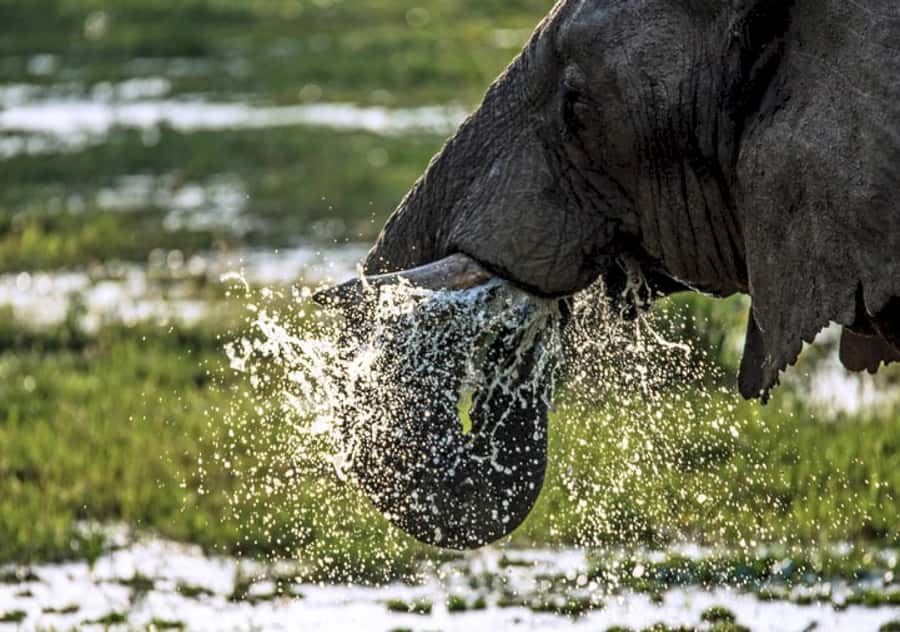 Nairobi: 4 Day Masai Mara and Lake Nakuru Camping Safari - From Nairobi to the Maasai Mara: Rift Valley stop and a classic sunset drive