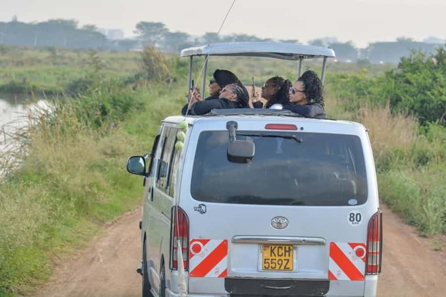 Nairobi: Nairobi National Park Half-Day Game Drive - Nairobi National Park in 4–5 Hours: Why This Format Works