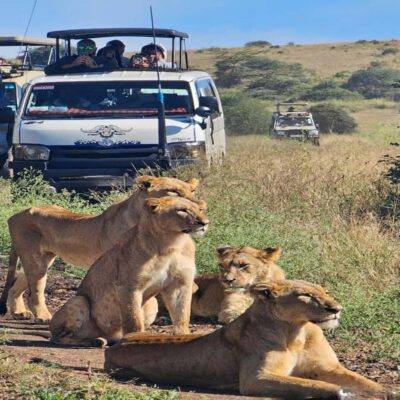 Nairobi National Park 5-hour Guided Game Drive Free Pick up - Getting there fast: pickup points and the short drive into the park