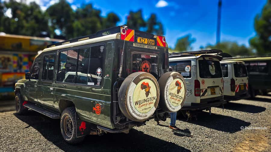 Nairobi National Park 5-hour Guided Game Drive Free Pick up - Lions, rhinos, and the time-of-day reality check