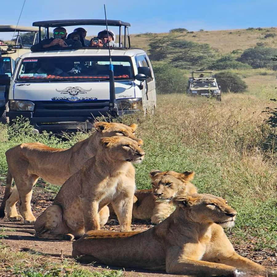 Nairobi National Park 5-hour Guided Game Drive Free Pick up - Getting there fast: pickup points and the short drive into the park
