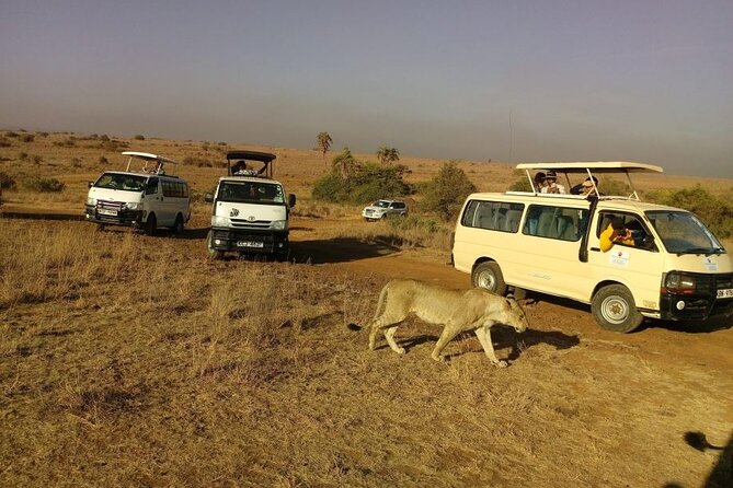Nairobi National Park Half Day Game Drive Tour With Free WIFI - Beads factory + community shop: culture without turning it into a shopping marathon