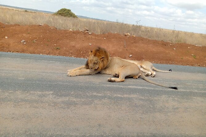 Nairobi National Park Safari With a Visit to Giraffe Center. - Coffee shop stop: a small break that helps the whole plan