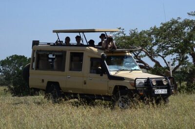 Nairobi Park Wildlife Safari - The 6:00 a.m. Start and the Value of Early Light