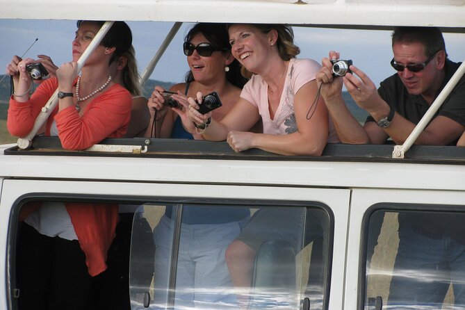 Nairobi Park Wildlife Safari - Cars, Guides, and a Max of 8 People