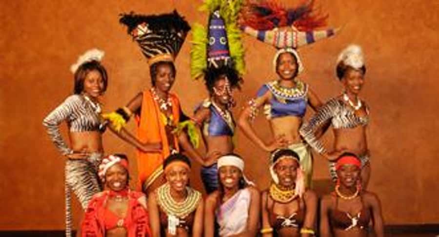 Nairobi: The Safari Cats Show Tickets & Buffet Dinner - Key things to know before you go