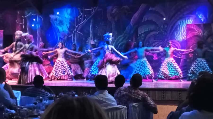 Nairobi: The Safari Cats Show Tickets & Buffet Dinner - The Safari Cats show at 9 pm: what the performance feels like