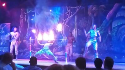 Nairobi: The Safari Cats Show Tickets & Buffet Dinner - The 6:30 pm pickup and how the 4-hour timing really feels