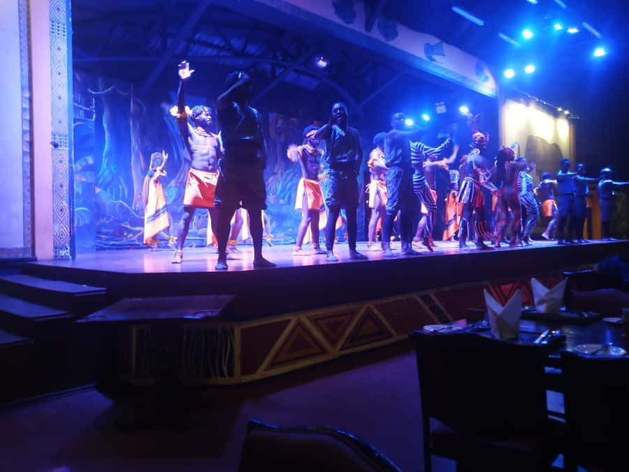 Nairobi: The Safari Cats Show Tickets & Buffet Dinner - Price and value: is $99 a fair deal?