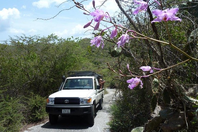 National Park Jeep Safari - Stop 1: Flamingo Sanctuary Sint Willibrordus and the Salt-Pan Start