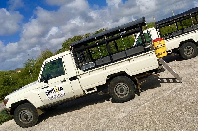 National Park Jeep Safari - Bumpy Tracks and Comfort Tips That Actually Help