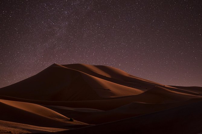 Night Desert Safari | Sand Boarding || Camel Ride || Inland Sea - Doha Pickup, Then Straight Into the Desert Mode