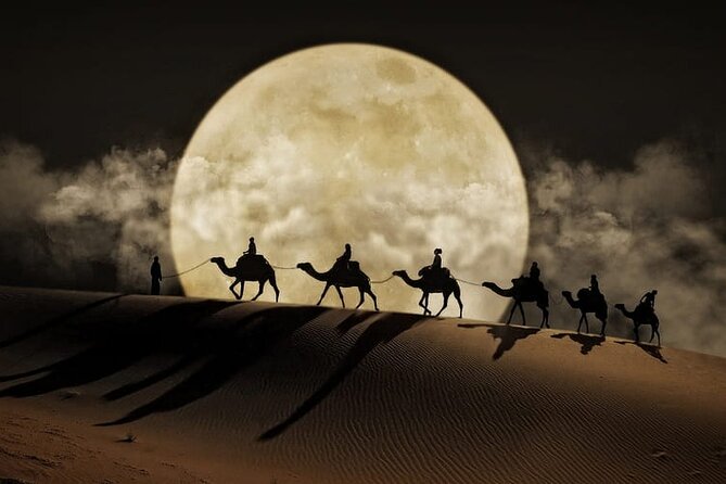 Night Desert Safari, Stargazing, Dune Driving & Inland Sea Visit - Key Highlights That Make This Safari Worth It