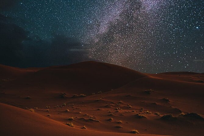 Night Desert Safari, Stargazing, Dune Driving & Inland Sea Visit - Camp Time, Camels, and the Desert’s Human Scale
