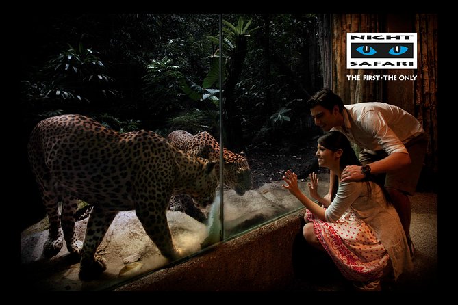 Night Safari Tour with Transfer - Two included shows: Creatures of the Night and Thumbuakar