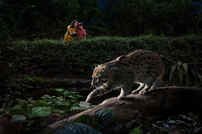 Night Safari with Buffet Dinner with hotel pick-up - Night Safari at Singapore Zoo: What Priority Tram Actually Buys You