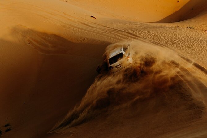 Noble Evening Desert Safari & Dinner Private Car Up to 6 Guests - Price and value for a private desert night (up to 6)