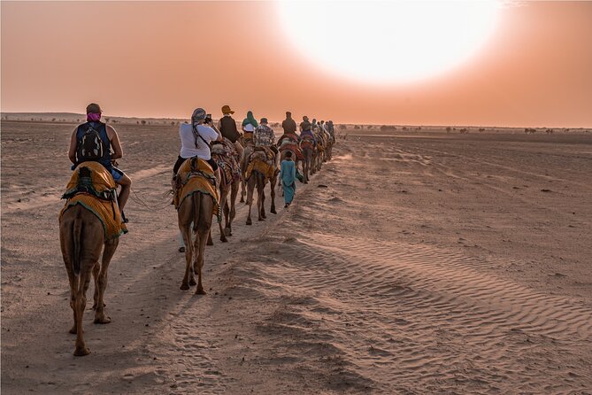 Nomadic Non-Touristic Overnight Camel & Desert Safari Tour - Day 2: Sunrise Camel Ride and a Return Before Late Morning